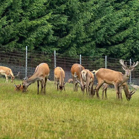 Luxussátor Obytny Posed Sach *
