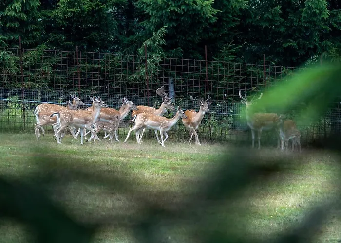 Obytny Posed Sach Luxussátor Dačice
