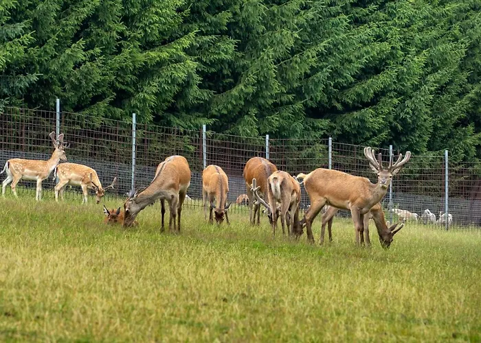 Luxussátor Obytny Posed Sach *
